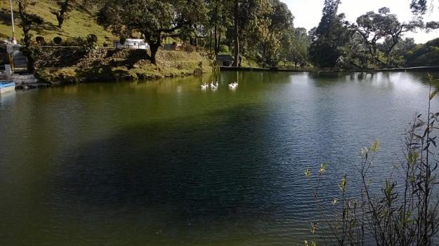 Blusalzz Escapade Resort Lansdowne Esterno foto